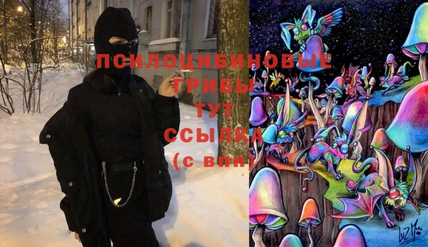 твердый Абаза