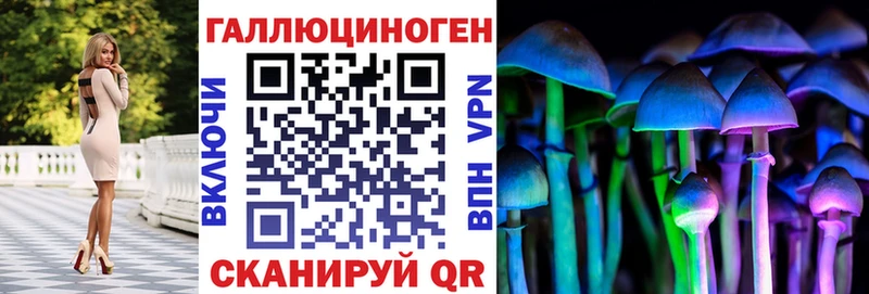 блэк спрут ONION  Тайга  Галлюциногенные грибы мицелий 